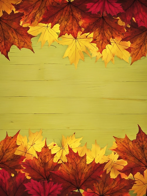Autumn Leaf Background FREE Stock Photo, autumn,  leaves,  nature picture