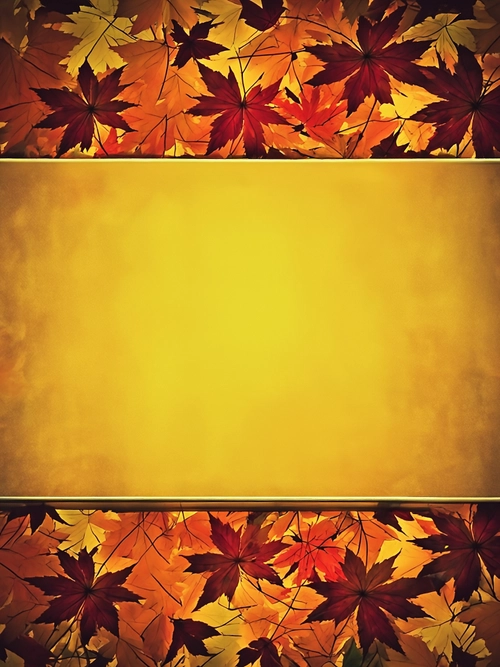 Autumn Leaves Background FREE Stock Photo, autumn,  leaves,  background picture