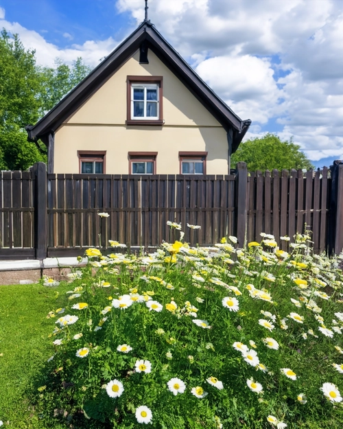 Charming House with Flowers FREE Stock Photo, house,  flowers,  garden picture