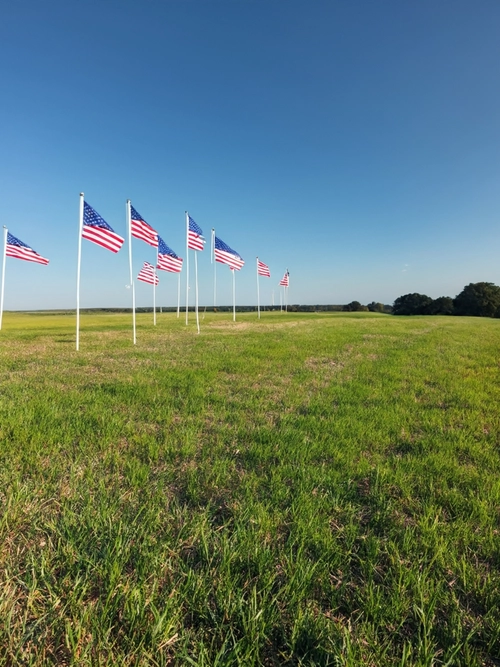 Fields of Honor Flags FREE Stock Photo, memorial day,  veterans day,  flags picture