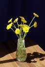 Vibrant Yellow Flowers in Glass Vase FREE Stock Photo, yellow flowers,  glass vase,  decoration picture