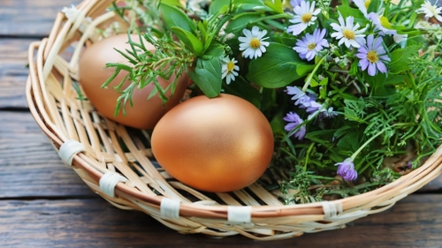 Golden Eggs and Flowers FREE Stock Photo, golden eggs,  flowers,  basket picture