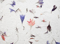 Colorful dried flowers on textured paper FREE Stock Photo, dried flowers, paper, texture picture