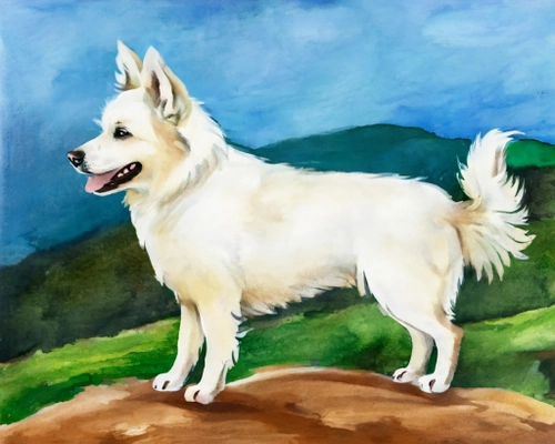 Playful White Dog FREE Stock Photo, dog,  watercolor,  art picture