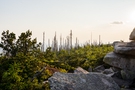 Rocky Outcrop Overlooking Forest at Sunset FREE Stock Photo, rocky outcrop,  forest,  sunset picture