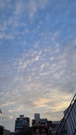 Cloudy Urban Skyline at Sunset FREE Stock Photo, cloudy sky,  urban buildings,  sunset picture