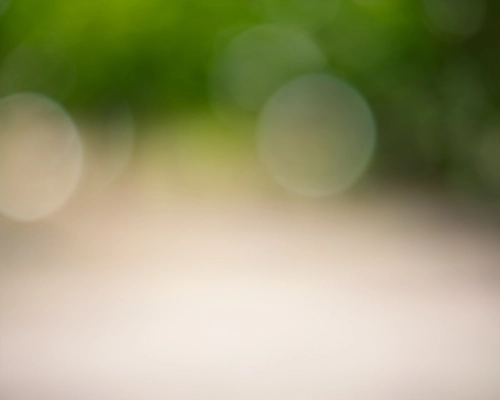 Soft Focus Background FREE Stock Photo, blurred,  background,  bokeh picture