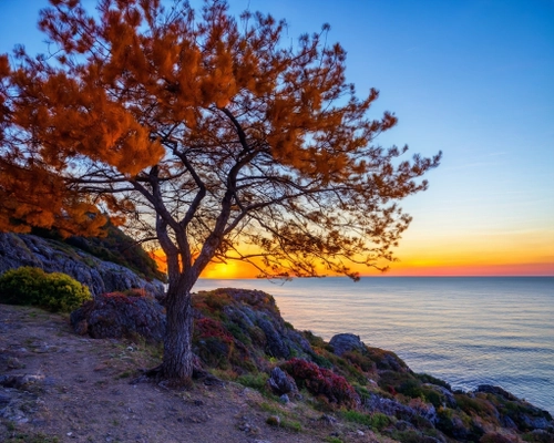 Vibrant Sunset Seascape FREE Stock Photo, sunset,  seascape,  nature picture